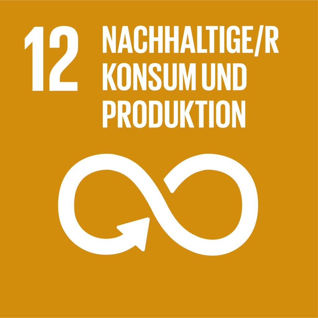 SDG Nr. 12 Icon