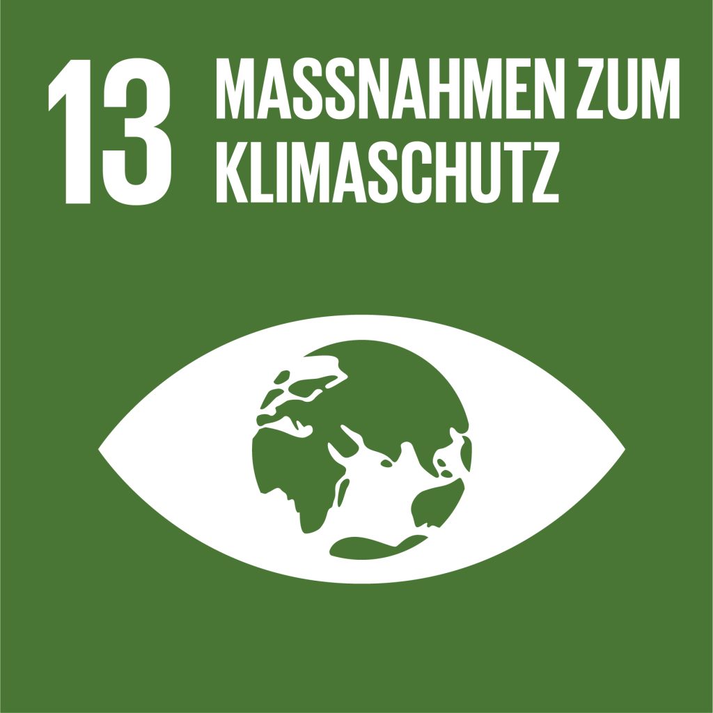 SDG Nr. 13 Icon