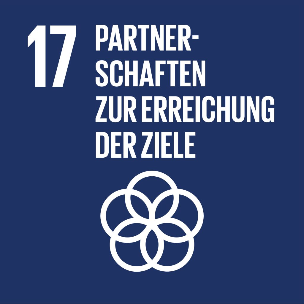 SDG Nr. 17 Icon